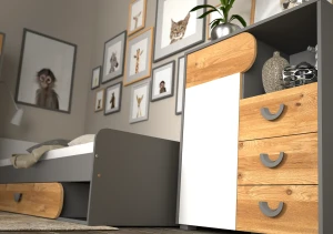 Šatní skříň do pokoje pro mládež Carini CA1 Nash Dub/bílá briliant/grafit