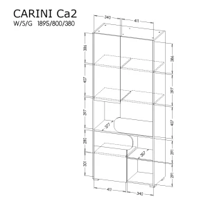 Skříň do pokoje pro mládež Carini CA2 Nash Dub/bílá Brilliant/Grafit