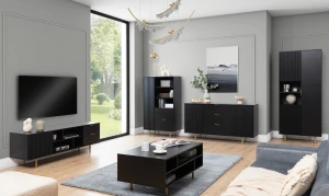 TV skříňka Nubia Černá matná