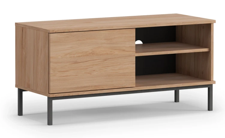 TV skříňka do obývacího pokoje s 1 dveřmi Querty Hickory