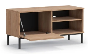 TV skříňka do obývacího pokoje s 1 dveřmi Querty Hickory