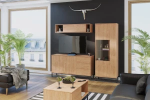 Závěsná skříňka do obývacího pokoje Querty Hickory
