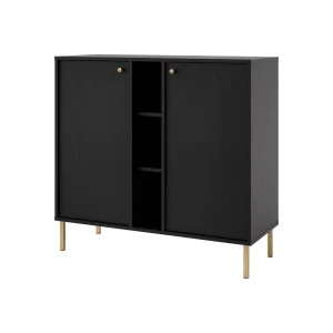 Dvoukřídlá komoda Sakai 2 2F T822 Černá