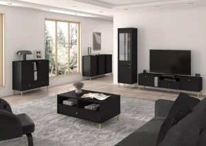 Komoda se zásuvkami Sakai 2 2F 2S T825 Černá