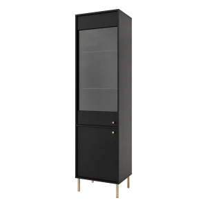 Skleněná vitrína Sakai 2 2F T101 Černá