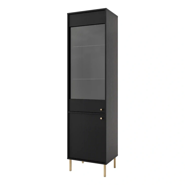 Skleněná vitrína Sakai 2 2F T101 Černá