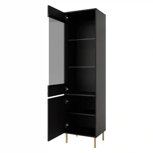 Skleněná vitrína Sakai 2 2F T101 Černá