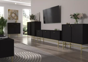 Dvoukřídlá komoda Sakai 3 2F T812 Černá