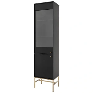 Skleněná vitrína Sakai 3 2F T101 Černá