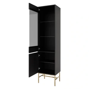 Skleněná vitrína Sakai 3 2F T101 Černá