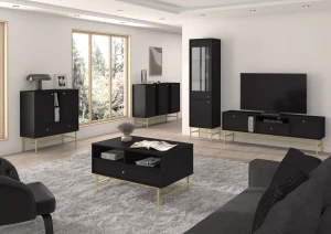 Skleněná vitrína Sakai 3 2F T101 Černá