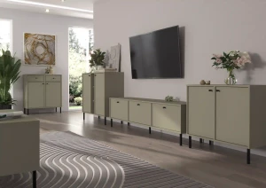 Dvoukřídlá komoda Sakai 2 2F T812 Eukalyptus