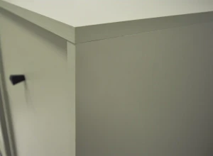 Dvoukřídlá komoda Sakai 2 2F T822 Eukalyptus