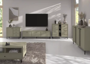 Stojící TV skříňka Sakai 2 3K T303 Eukalyptus