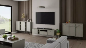 Závěsná TV skříňka Sakai 4 2K 1S T313 Eukalyptus