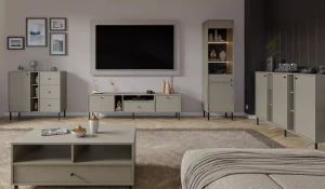 Stojící TV skříňka Sakai 2 2K 1S T313 Eukalyptus