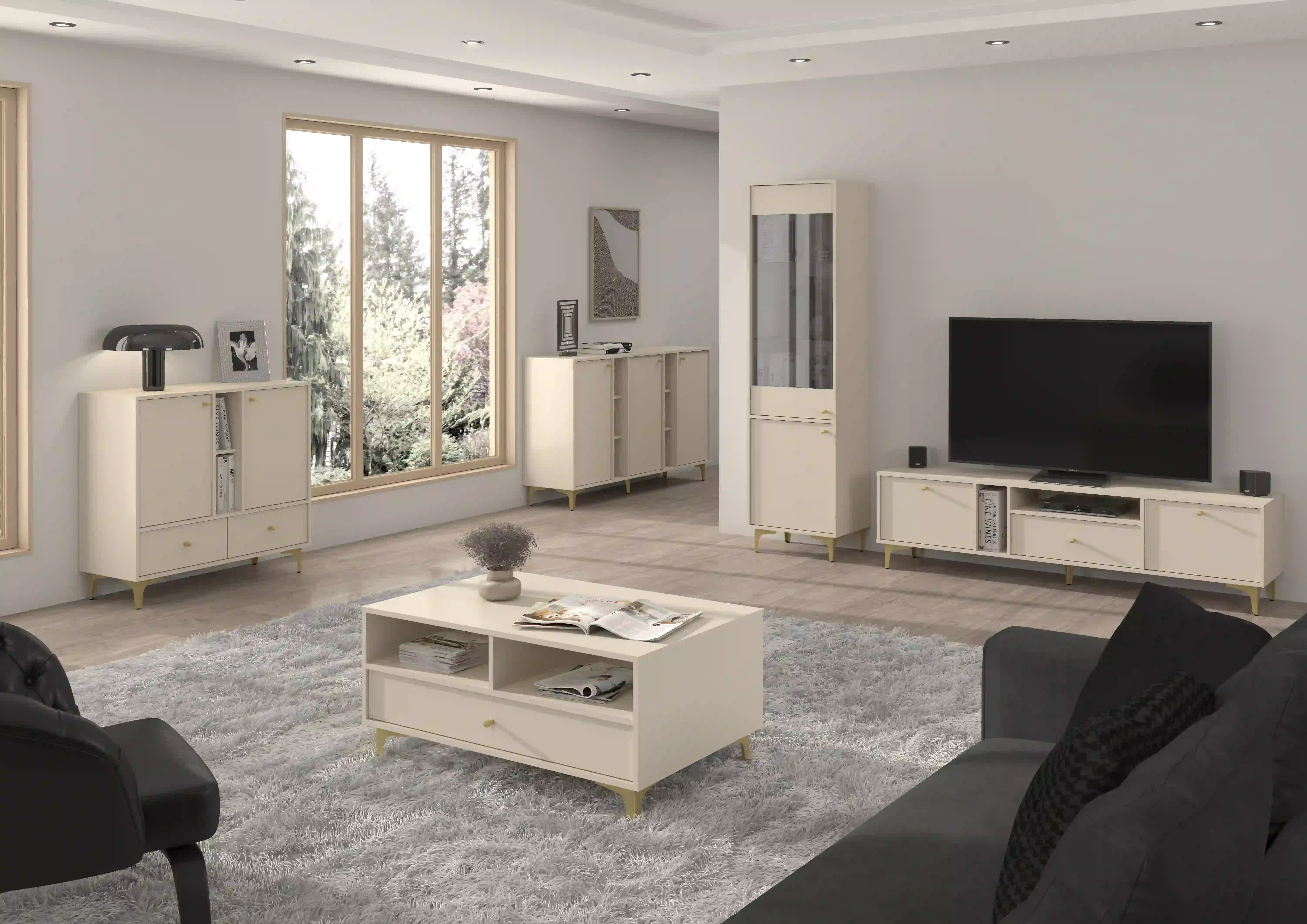 Komoda se zásuvkami do obývacího pokoje Sakai 2F 2S T825 Béžová