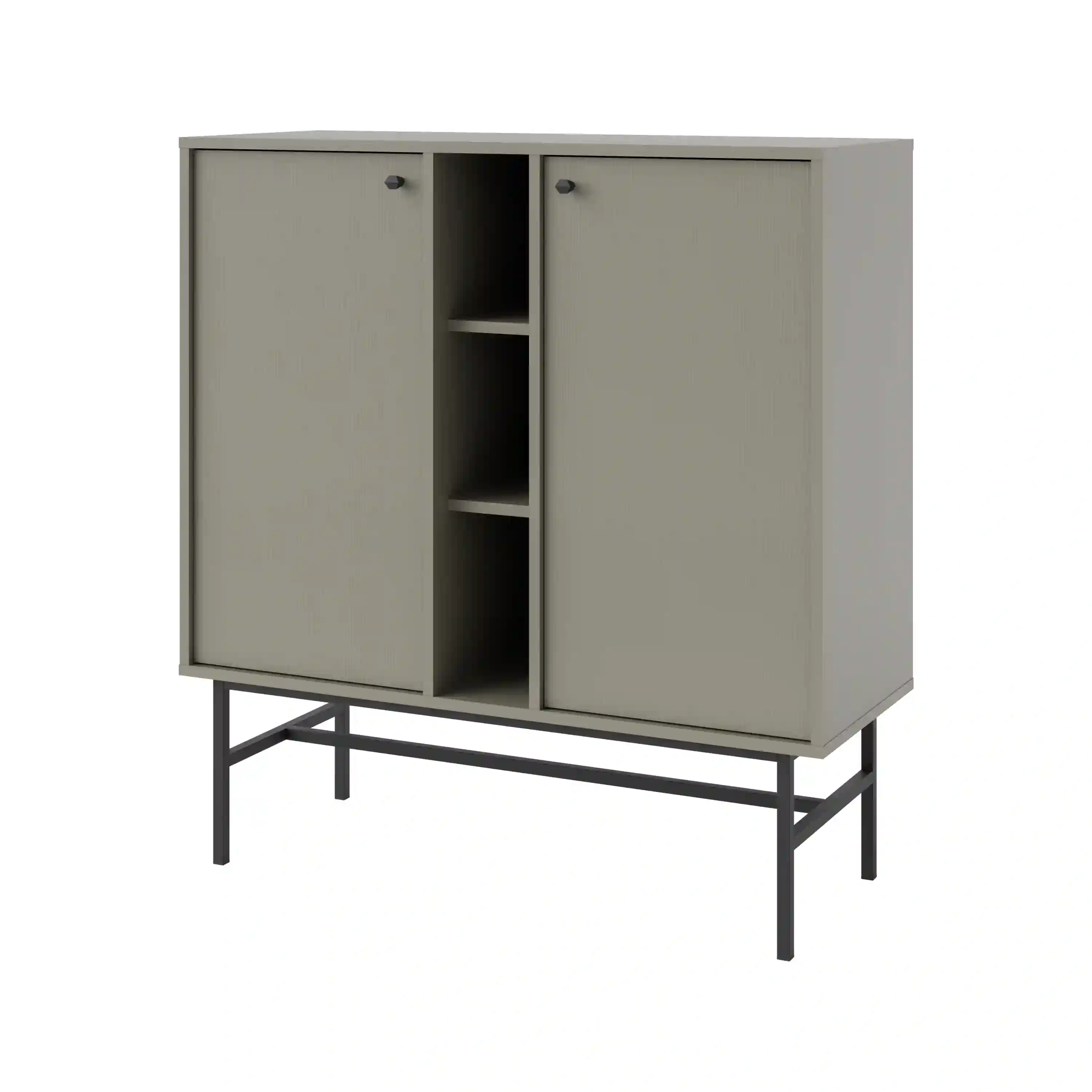 Komoda dwudrzwiowa do salonu Sakai 2F T822 Eukaliptus