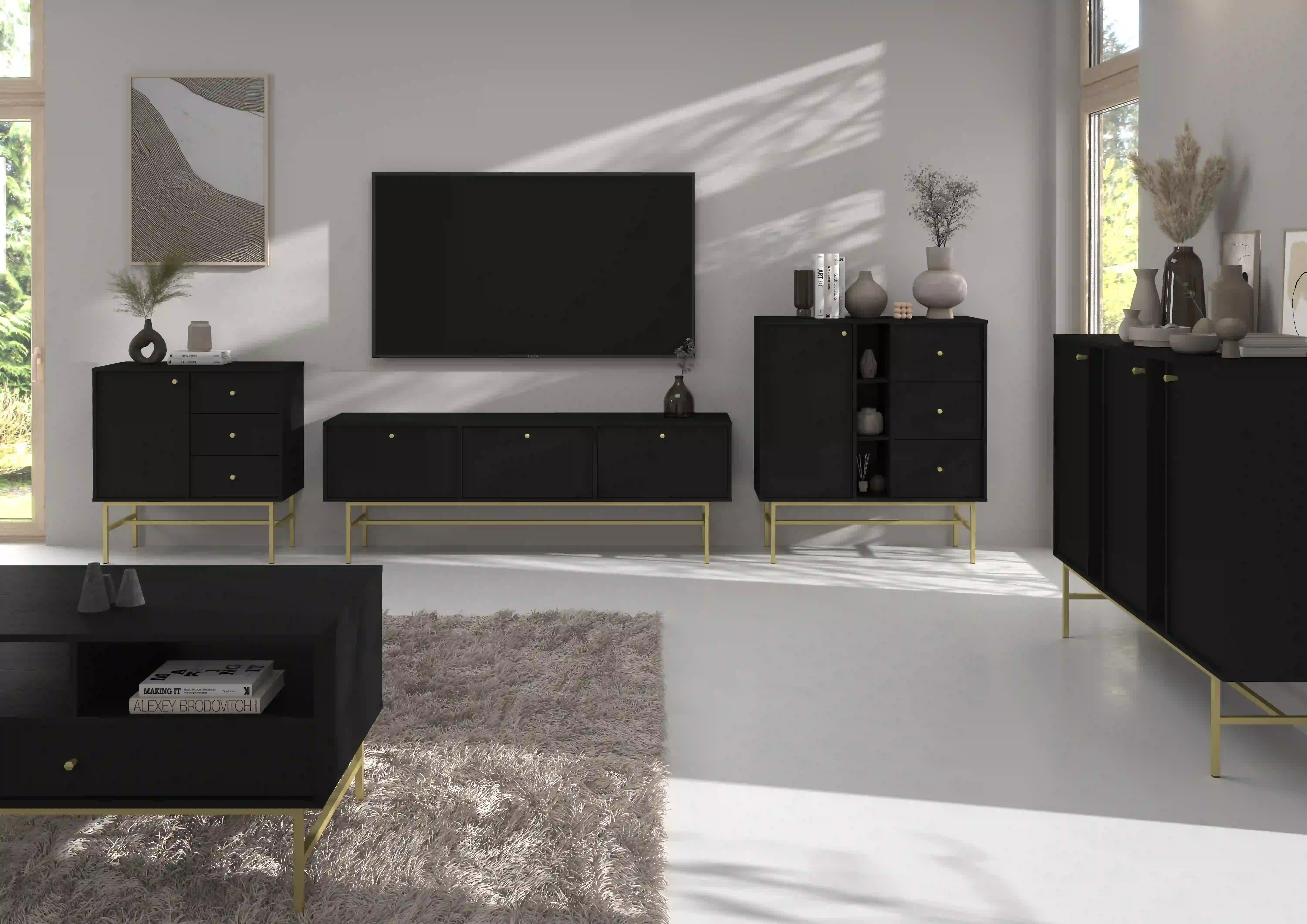 RTV skříňka Sakai 2K T302 Černá