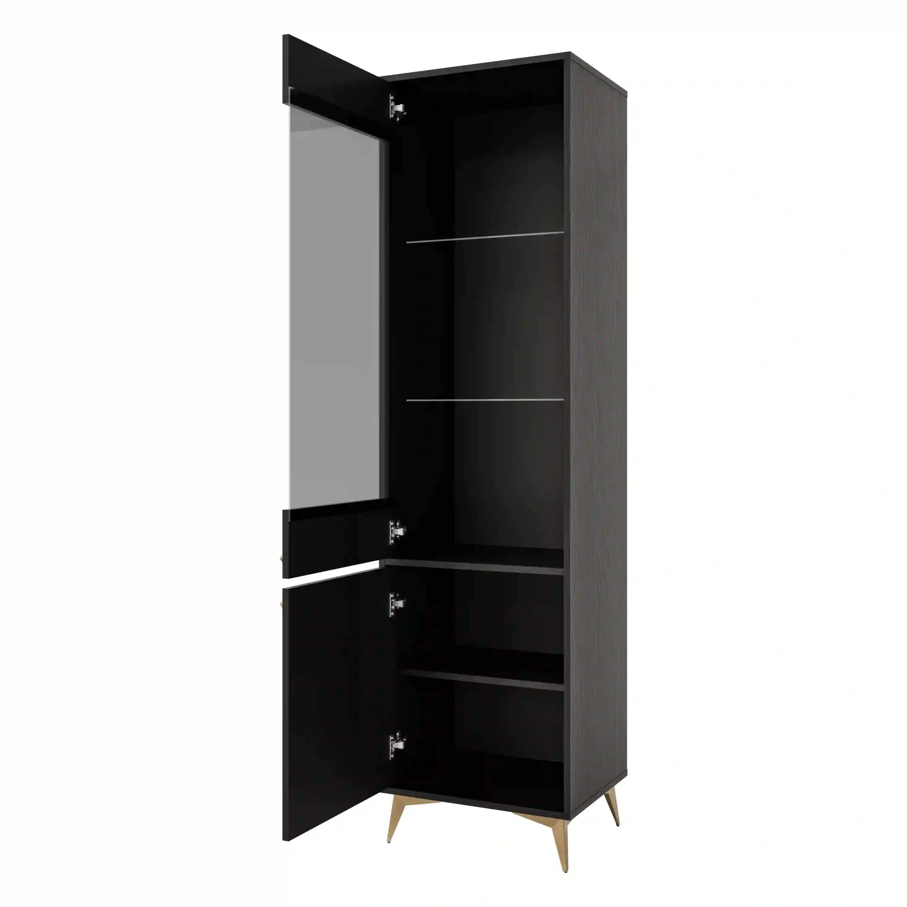 Skleněná vitrína Sakai 1-2F T101 Černá