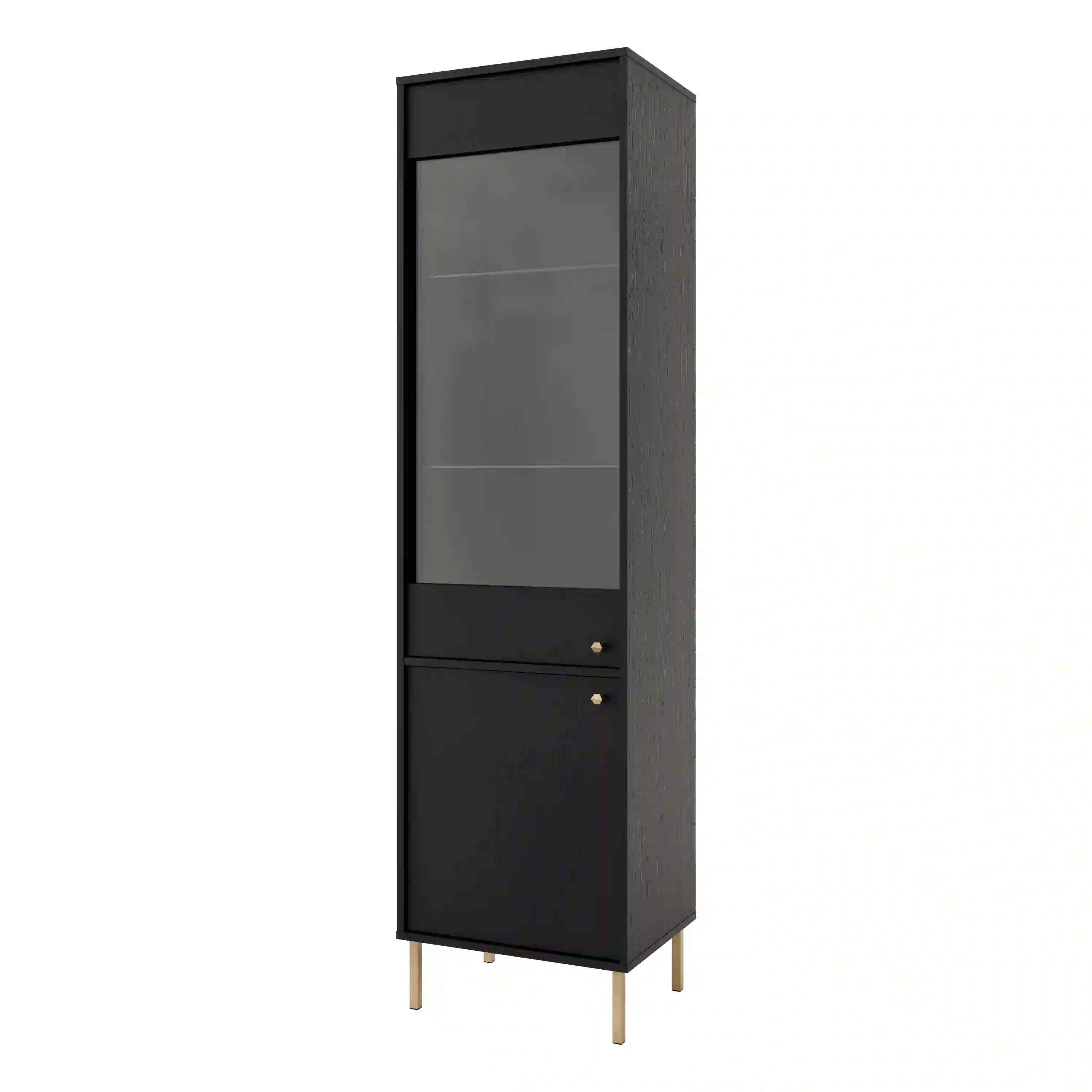 Skleněná vitrína Sakai 2F T101 Černá