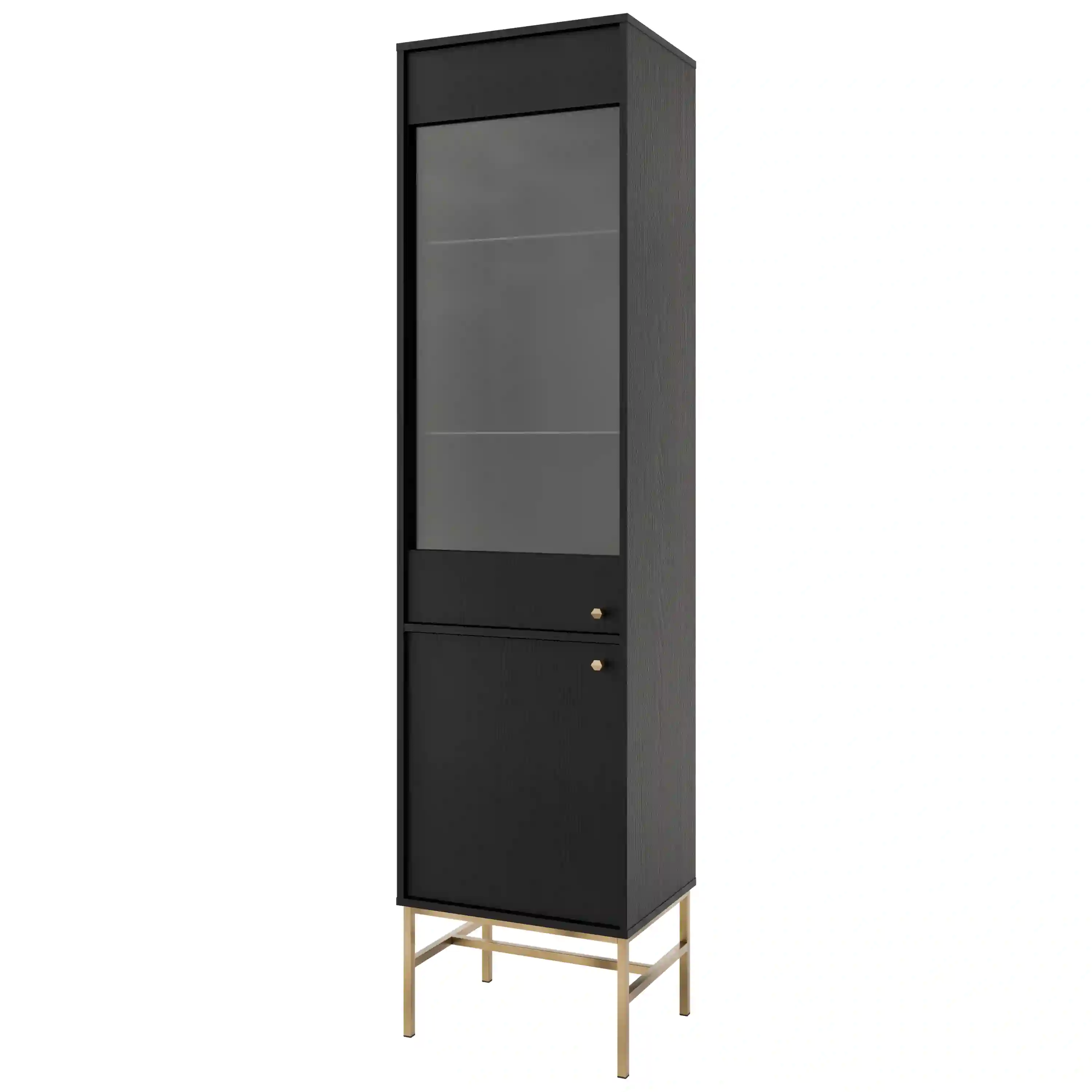 Vitrína Sakai 2F T101 Černá