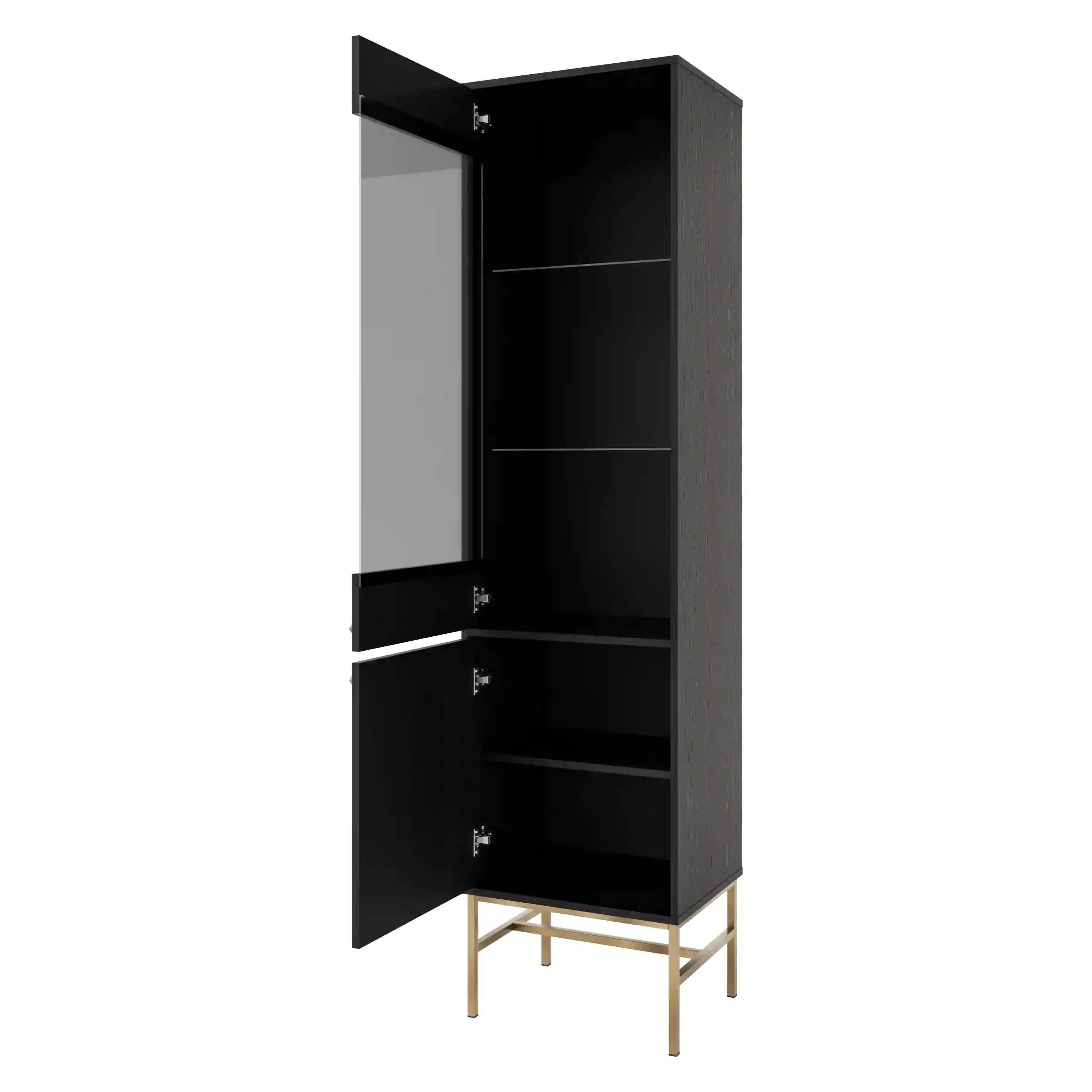 Vitrína Sakai 2F T101 Černá